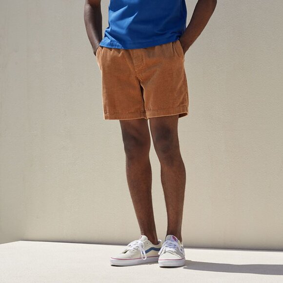 Pacsun Brown Corduroy Volley Shorts Elastic Waist Pull On Men's Size Small - Picture 1 of 8